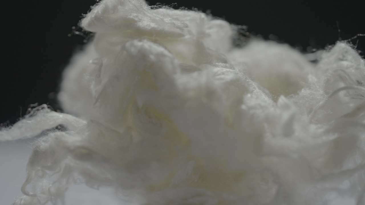 凤凰同盟·(中国区)官方网站