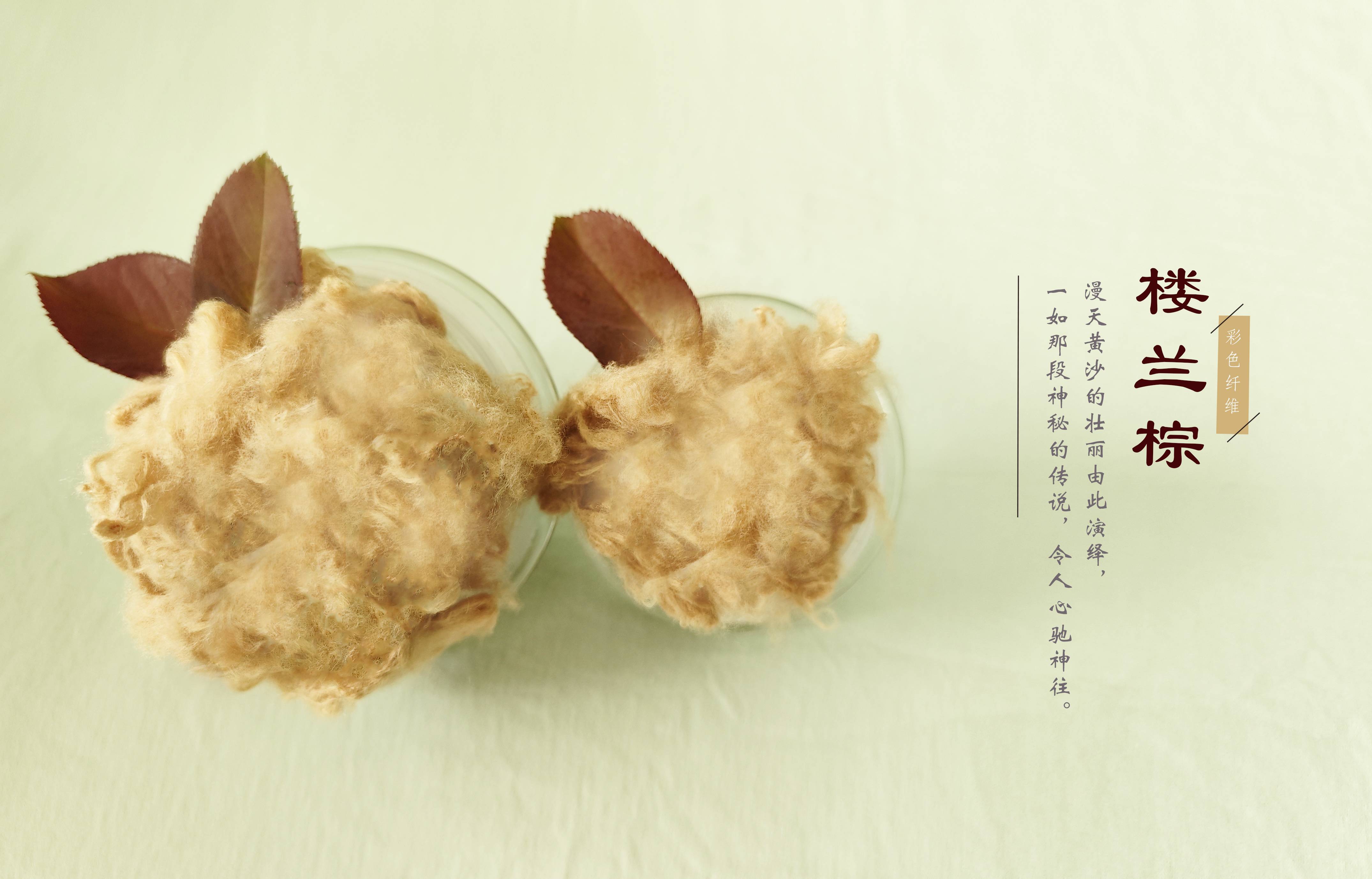 凤凰同盟·(中国区)官方网站