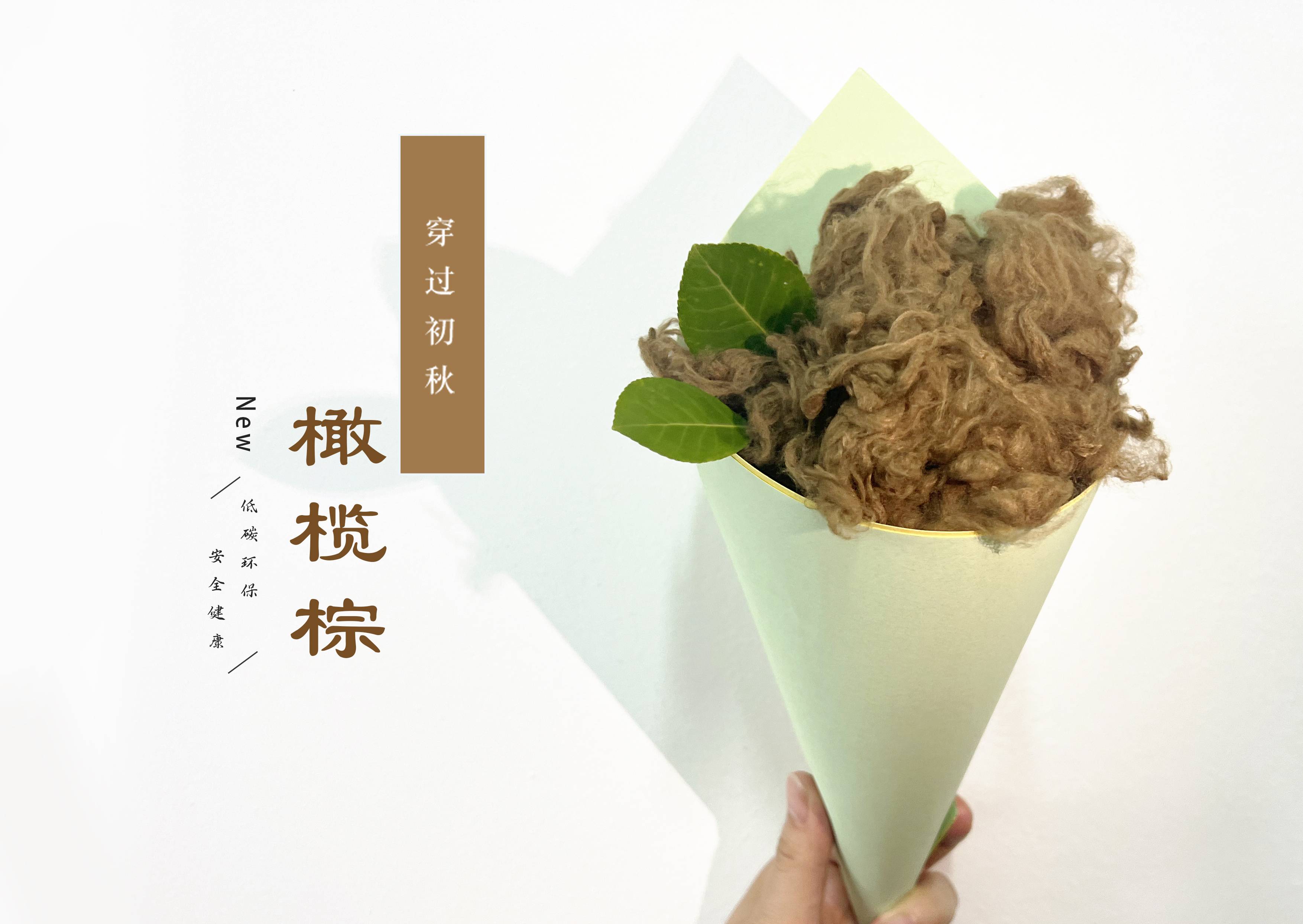 凤凰同盟·(中国区)官方网站